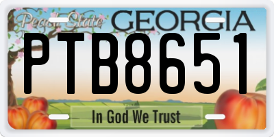 GA license plate PTB8651