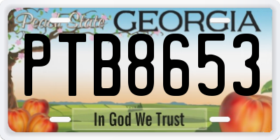 GA license plate PTB8653