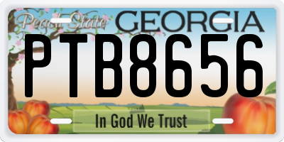 GA license plate PTB8656
