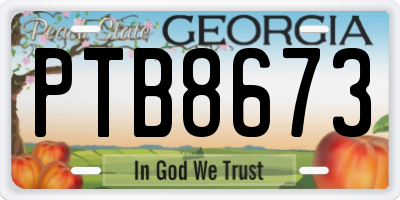 GA license plate PTB8673