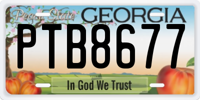 GA license plate PTB8677