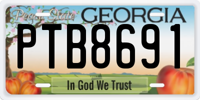 GA license plate PTB8691