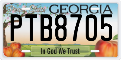 GA license plate PTB8705