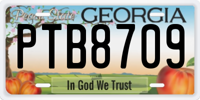 GA license plate PTB8709
