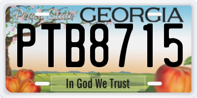 GA license plate PTB8715