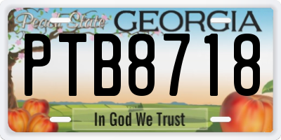 GA license plate PTB8718