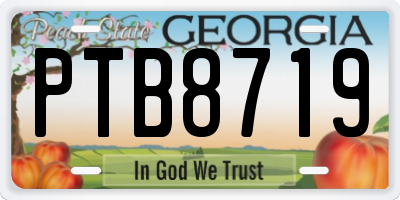 GA license plate PTB8719