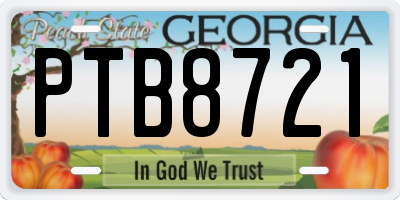 GA license plate PTB8721