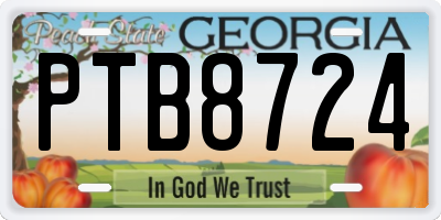 GA license plate PTB8724