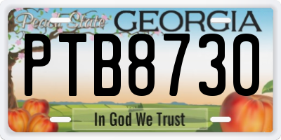GA license plate PTB8730