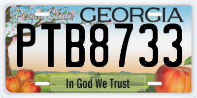 GA license plate PTB8733