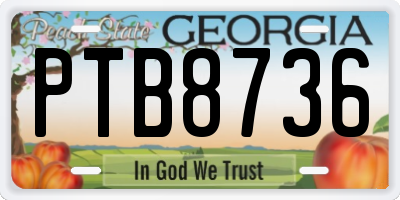 GA license plate PTB8736