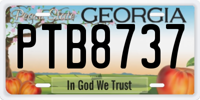 GA license plate PTB8737
