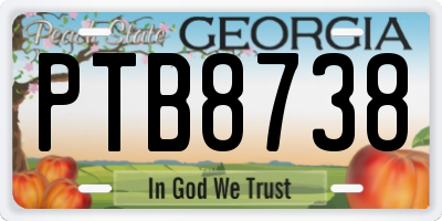 GA license plate PTB8738