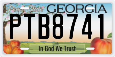 GA license plate PTB8741