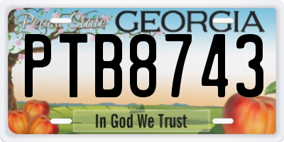 GA license plate PTB8743