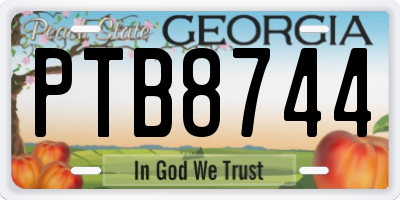 GA license plate PTB8744