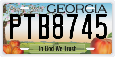 GA license plate PTB8745