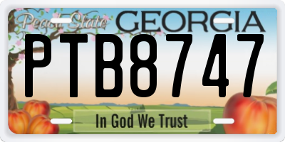 GA license plate PTB8747