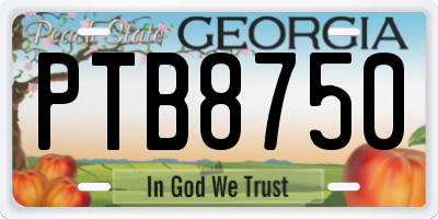 GA license plate PTB8750