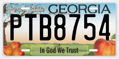 GA license plate PTB8754