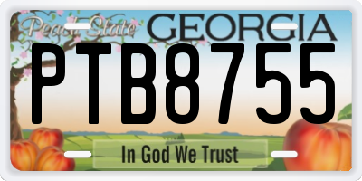 GA license plate PTB8755