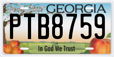 GA license plate PTB8759