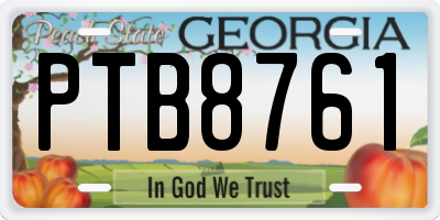 GA license plate PTB8761