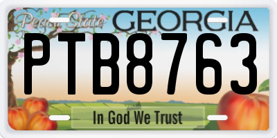 GA license plate PTB8763