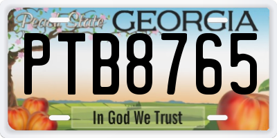 GA license plate PTB8765