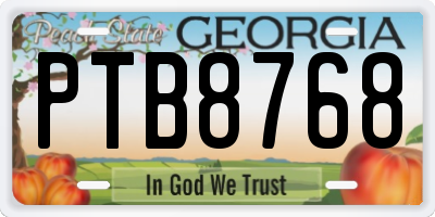 GA license plate PTB8768