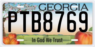 GA license plate PTB8769