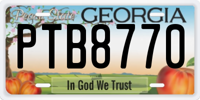GA license plate PTB8770