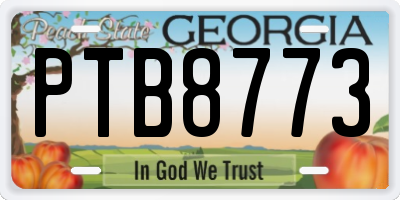 GA license plate PTB8773