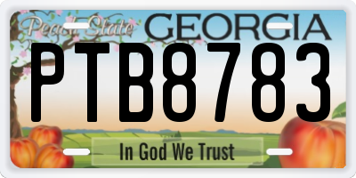 GA license plate PTB8783