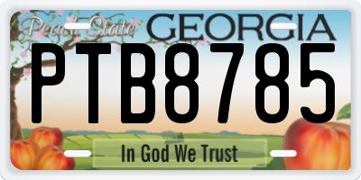 GA license plate PTB8785