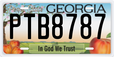 GA license plate PTB8787