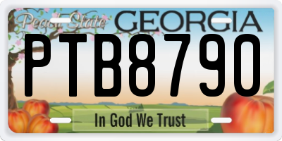 GA license plate PTB8790
