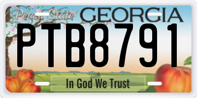 GA license plate PTB8791