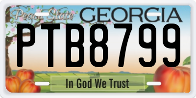 GA license plate PTB8799