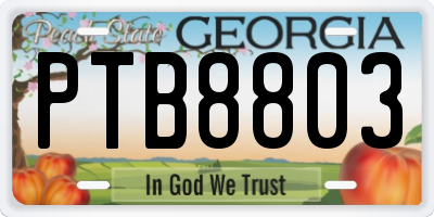 GA license plate PTB8803