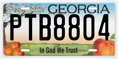 GA license plate PTB8804