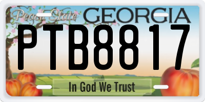 GA license plate PTB8817