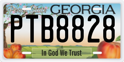 GA license plate PTB8828