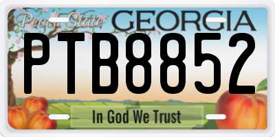 GA license plate PTB8852
