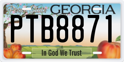GA license plate PTB8871