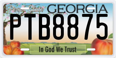 GA license plate PTB8875