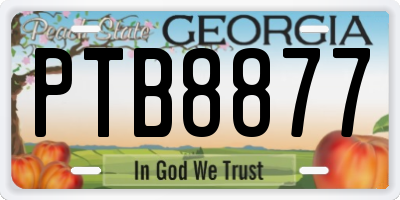 GA license plate PTB8877