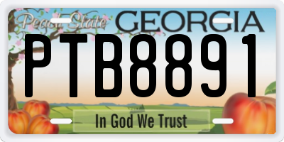GA license plate PTB8891