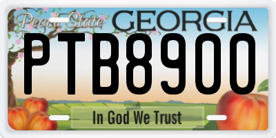 GA license plate PTB8900